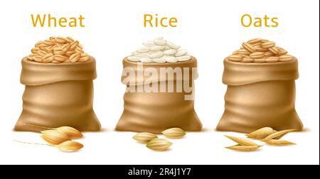 Realistisches Getreide in Säcken. Verschiedene isolierte Getreidearten in Säcken, landwirtschaftliche Pflanzen Weizen, Reis und Hafer, 3D landwirtschaftliche Elemente, natürliches Lebensmittelprodukt Stock Vektor