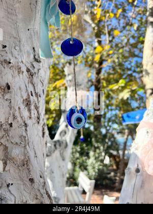 Böse Augenperlen, blaue böse Augenperlen, die im Frühling oder Sommer in der Türkei an weiße Bäume gehängt wurden. Aberglaube für Glück und Schutz vor schlechter Ev Stockfoto