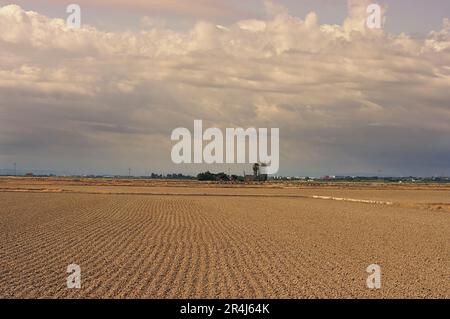 Für Überschwemmungen und Reisanbau vorbereitete Anbauflächen der Albufera von Valencia Spanien. Stockfoto