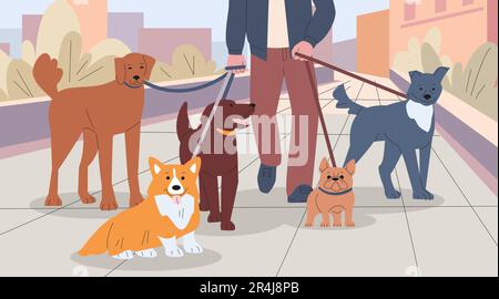 Hundeführer und Babysitter. Person führt Hunde in der Stadt, Stadtrundgang mit Haustiergruppe. Arbeit oder Geschäft, Freundschaft. Die Tiere in der Stadt sind eine kickige Vektorszene Stock Vektor