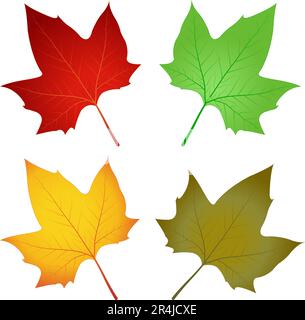 Herbstblattfarbe Ahornblatt Vektorset Stock Vektor