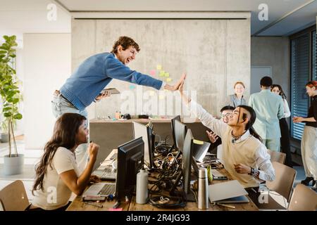 Fröhliche Unternehmer geben High-Five, während Kollegen im Kreativbüro am Schreibtisch sitzen Stockfoto