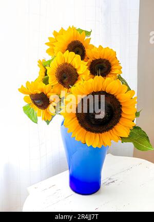 Ein Arrangement von hellen Sonnenblumen in einer blauen Vase. Stockfoto