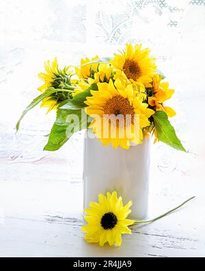 Ein Arrangement von Sonnenblumen in einer rustikalen Milchdose. Stockfoto