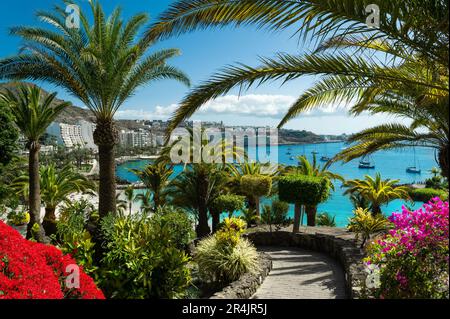 Blick auf einen wunderschönen öffentlichen Garten mit tropischen Palmen und roten Blumen über der blauen Atlantikküste in Las Palmas, Spanien Stockfoto