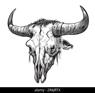 Kuh-Schädel-Skizze, handgezeichnet in Doodle-Stil-Illustration Stock Vektor