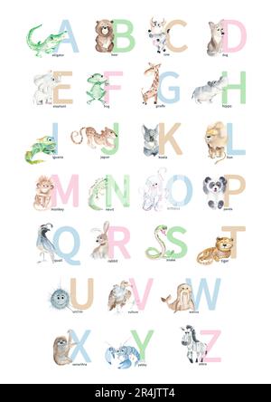 Aquarell, handgezeichnet, niedliches lateinisches Alphabet. Säuglingstiere mit ABC-Symbolen auf weißem Hintergrund isoliert. Kann als Printposter verwendet werden, Baby Stockfoto