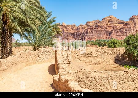 Al Ula zerstörte die Altstadt mit Palmen entlang der Straße, Saudi-Arabien Stockfoto