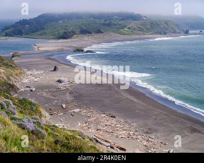 Jenner by the Sea, der Russian River trifft auf den Pazifischen Ozean, und der Strand ist voller verstreuter Holzschutt. Stockfoto