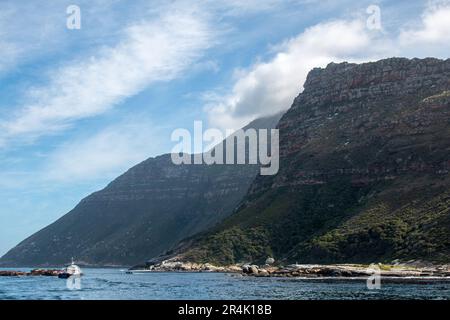 Eines der Boote, die auf einer Seehundbeobachtungstour von Hout Bay, Kapstadt, Südafrika nach Duiker Island fahren Stockfoto