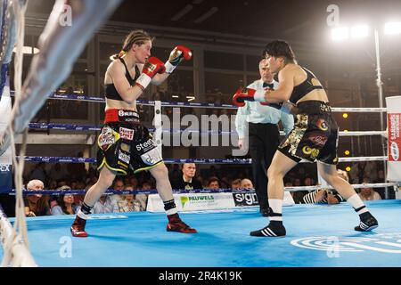 Torhout, Belgien. 28. Mai 2023. Die Abbildung zeigt den Kampf zwischen dem belgischen Delfine Persoon und dem koreanischen Bo Mi Re Shin um den WBC Silver Super Feather -Titel Women, Sonntag, den 28. Mai 2023, in Torhout. BELGA FOTO KURT DESPLENTER Kredit: Belga News Agency/Alamy Live News Stockfoto