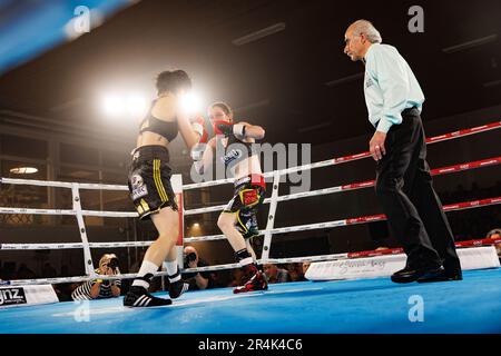 Torhout, Belgien. 29. Mai 2023. Belgisches Delfine Persoon in Aktion während des Kampfes zwischen belgischem Delfine Persoon und koreanischem Bo Mi Re Shin für den WBC Silver Super Feather -Titel Women, Sonntag, den 28. Mai 2023, in Torhout. BELGA FOTO KURT DESPLENTER Kredit: Belga News Agency/Alamy Live News Stockfoto