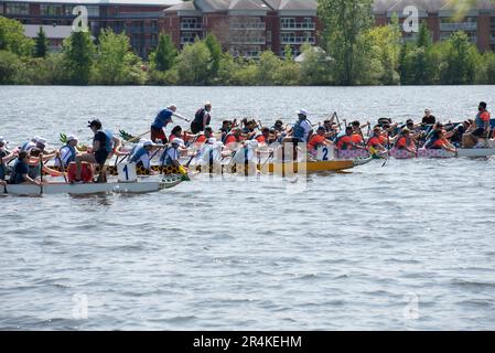 Course de bateaux Dragon sur le lac Boivin Granby Québec Kanada Stockfoto