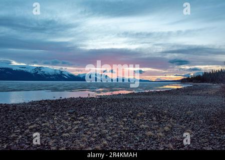 Sonnenuntergang am Rocky Lake in Atlin, British Columbia im Frühling. Schneebedeckte Berge spiegeln sich im ruhigen See mit dramatischem Himmel. Stockfoto