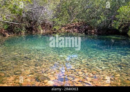 Die Blauen Lagunen, Hinchinbrook Island Stockfoto