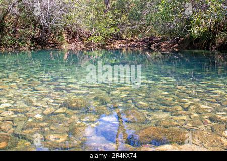 Die Blauen Lagunen, Hinchinbrook Island Stockfoto