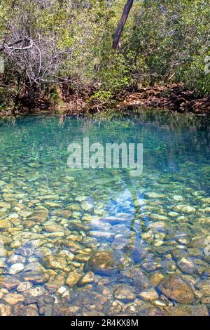 Die Blauen Lagunen, Hinchinbrook Island Stockfoto