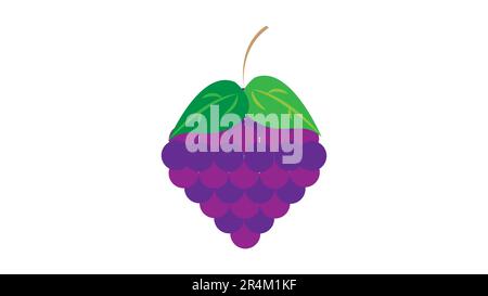 Violette Weintrauben Illustration - ein Bündel violetter Weintrauben, deren Stängel und Blätter auf weißem Hintergrund isoliert sind. Stock Vektor