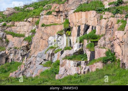 Steile Basaltklippen mit grüner, üppiger Vegetation und Gras. Stockfoto