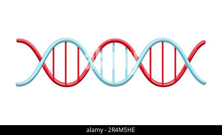 Wunderschönes medizinisches rot-blaues wissenschaftliches gedrehtes Helix Struktur abstraktes Modell von dna Genen auf weißem Hintergrund. Vektordarstellung. Stock Vektor