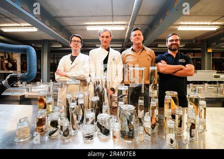 (Von links nach rechts) Jon Ablett, Senior Kurator of Mollusca, James Maclaine, Senior Kurator of Fish, Paul Whomersley. Marine Advisor bei Cefas und Chris Fletcher, Senior Research Assistant beim NHM, halten verschiedene Proben, die während der Expedition im Natural History Museum in London gesammelt wurden. James Maclaine, leitender Kurator für Fisch bei der, ist vor kurzem von einer Expedition zurückgekehrt, bei der die Tiefseewelt vor der Küste von St. Helena im mittleren Atlantik im Rahmen des Blue Belt-Programms untersucht wurde, das die Überseegebiete des Vereinigten Königreichs beim Schutz und der nachhaltigen Bewirtschaftung ihrer Meere unterstützt Stockfoto