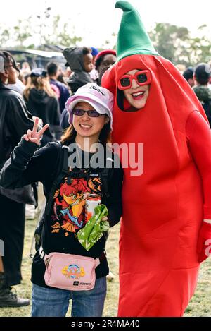 Napa, Kalifornien, USA. 28. Mai 2023. Konzertbesucher beim BottleRock 2023 Music Festival. Kredit: Ken Howard/Alamy Live News Stockfoto