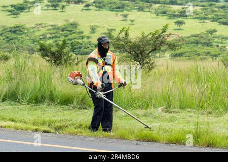 Eine afrikanische Frau, die eine Grasschneidemaschine oder einen Rasentrimmer verwendet, sägt an einem Straßenbauprojekt in Südafrika an Stockfoto