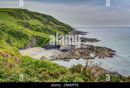 Langer Blick entlang der Küste von Südost-Cornwall von Lantivet nach Polperro, einschließlich einer schönen Aussicht auf Lansallos Beach, wunderschön natürlich. Stockfoto
