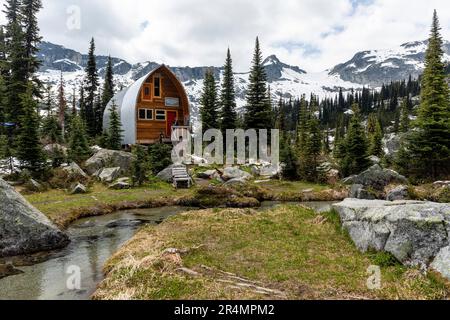 Mittlere Sicht auf Frauen, die in einer Berghütte in British Columbia rumhängen. Stockfoto