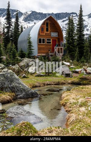 Mittlere Sicht auf Frauen, die in einer Berghütte in British Columbia rumhängen Stockfoto