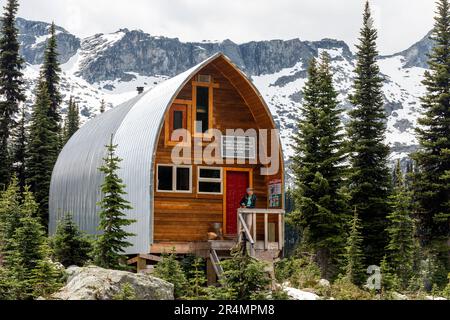 Mittlere Sicht auf Frauen, die in einer Berghütte in British Columbia rumhängen Stockfoto