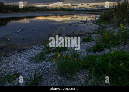 Der Selwyn River ist ein Fluss auf Neuseelands Südinsel, bekannt für seine malerische Schönheit und vielfältige Landschaften. Stockfoto