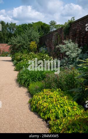Krautige Grenze im Paradise Garden bei RHS Bridgewater, Worsley Greater Manchester, England. Stockfoto