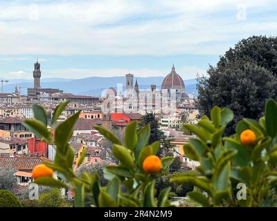 Florenz, Italien - 6. April 2022: Panoramablick auf Florenz von den Rosengärten, Giardini delle Rose, Toskana, Italien Stockfoto