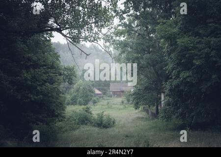 Wunderschöne ländliche Landschaft nach dem Regen. Große Bäume im Vordergrund und ein kleiner Bauernhof im Hintergrund. Eine hölzerne Scheune und ein nebliger, launischer Tag. Stockfoto