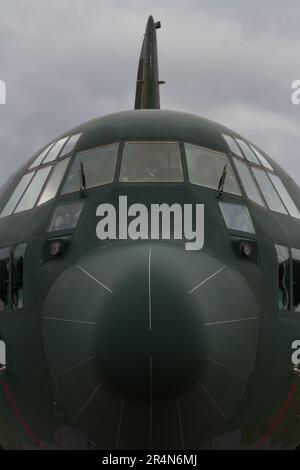 Die Nase eines JASDF Lockheed C130H Hercules Militärtransportflugzeugs auf dem Yokota Luftwaffenstützpunkt in Fussa, Tokio, Japan. Stockfoto