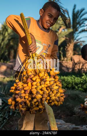Kleines Kind eines marokkanischen Bauern mit einem frisch geernteten Dattelhaufen Stockfoto