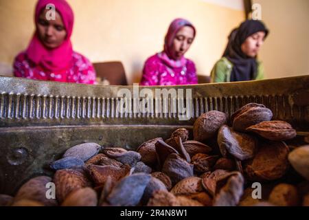 Manueller Prozess von Almond Shelling by Women in einer Sidi Bouhria Cooperative, nahe Oujda, Marokko Stockfoto