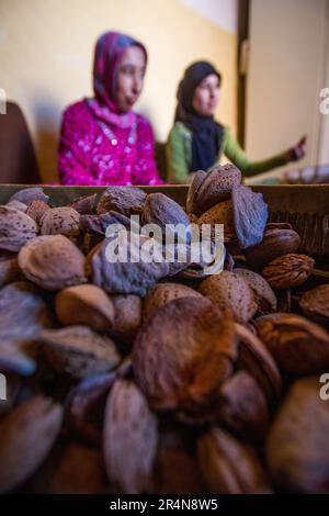 Manueller Prozess von Almond Shelling by Women in einer Sidi Bouhria Cooperative, nahe Oujda, Marokko Stockfoto