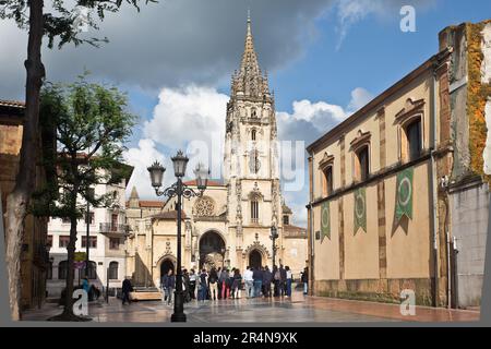 Domplatz in Oviedo, Asturien, Spanien. Die Basilika der Heiligen Kirche Metropolitan Cathedral von San Salvador de Oviedo. Gotischer Stil Stockfoto