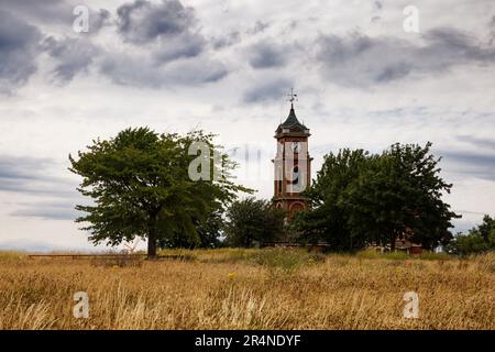Das heruntergekommene Middlesbrough Old Town Hall befindet sich inmitten von Brawnfield Land in Teesside, England. Stockfoto
