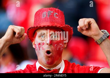 Ein Barnsley-Fan auf der Tribüne vor dem Sky Bet League One Play-Off-Finale im Wembley Stadium, London. Foto: Montag, 29. Mai 2023. Stockfoto