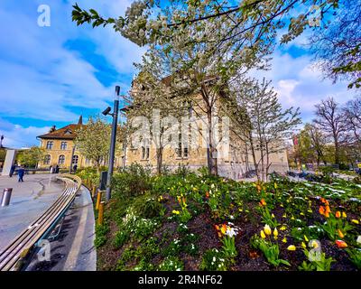 Das große Blumenbeet mit Tulpen im Garten des Landesmuseum-Komplexes Zürich, Schweiz Stockfoto