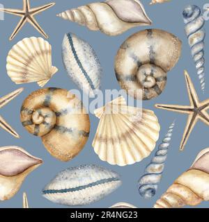 Muschelmuster auf blauem Hintergrund. Handgezogenes, nahtloses Zierstück in Aquarellfarbe mit Meeresschalen zum Einwickeln von Papier oder Textilien im nautischen Stil. Unterwasser-Illustration mit Hahnenschnecke und Jakobsmuschel. Stockfoto