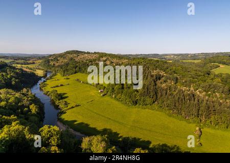 Eine Familie, die einen Tag in Mailscot Woods und Symonds Yat Rock, Forest of Dean, England, genießt. Stockfoto