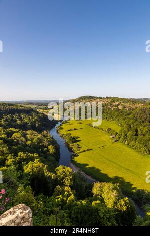 Eine Familie, die einen Tag in Mailscot Woods und Symonds Yat Rock, Forest of Dean, England, genießt. Stockfoto