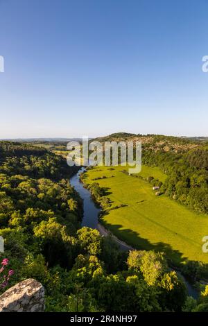 Eine Familie, die einen Tag in Mailscot Woods und Symonds Yat Rock, Forest of Dean, England, genießt. Stockfoto