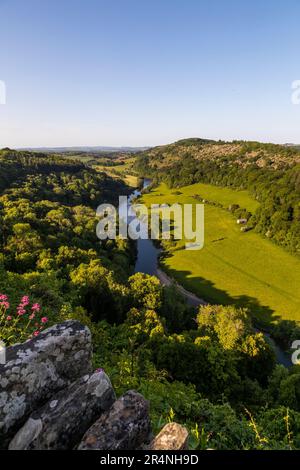 Eine Familie, die einen Tag in Mailscot Woods und Symonds Yat Rock, Forest of Dean, England, genießt. Stockfoto