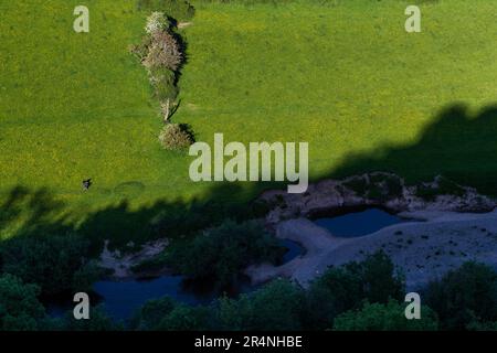 Eine Familie, die einen Tag in Mailscot Woods und Symonds Yat Rock, Forest of Dean, England, genießt. Stockfoto