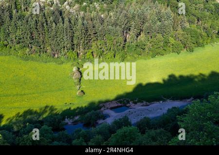 Eine Familie, die einen Tag in Mailscot Woods und Symonds Yat Rock, Forest of Dean, England, genießt. Stockfoto